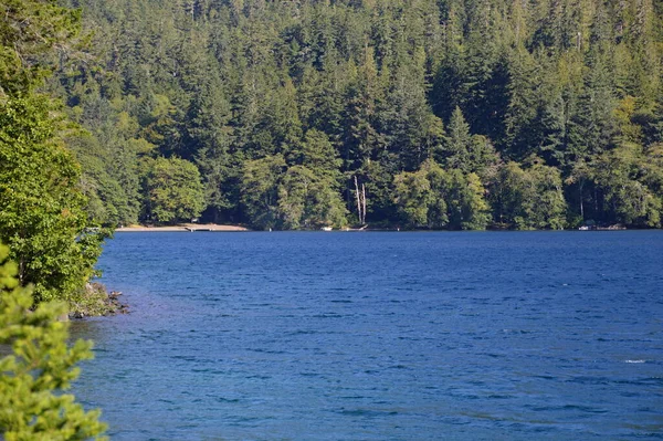 Lago Parque Nacional Olímpico Washington — Fotografia de Stock