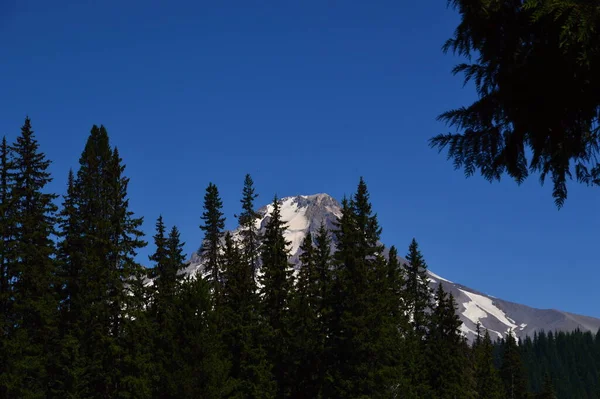 Panorama Van Mount Hood Vulkaan Cascade Range Oregon — Stockfoto