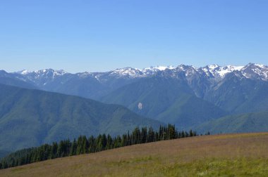 Washington Olimpiyat Ulusal Parkı 'ndaki Kasırga Tepesi Panoraması
