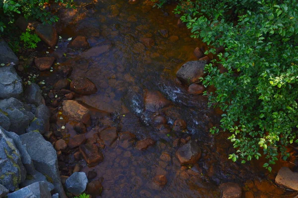 Поток Национальном Парке Маунт Рейнир — стоковое фото