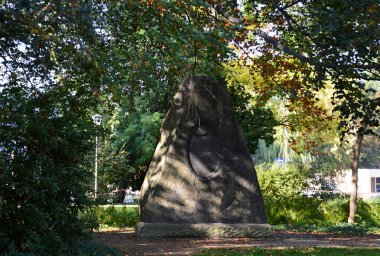Tarihsel Kale ve Park Koepenick Sonbaharda Berlin 'de, Almanya' nın başkenti