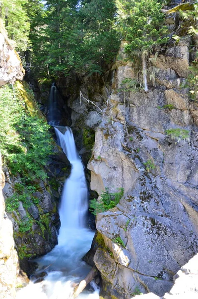 Waterfall Mount Rainier National Park Washington — Stock fotografie