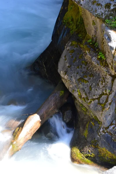 Stream Nel Parco Nazionale Mount Rainier Washington — Foto Stock