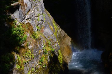 Waterfall in Mount Rainier National Park, Washington