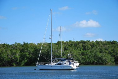 Meksika Körfezi 'ndeki Panorama Adası Key Largo, Florida Keys