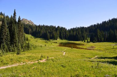 Manzara Rainier Dağı Milli Parkı, Washington