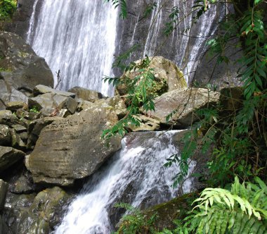 El Yunque yağmur ormanlarında şelale, Puerto, Rico