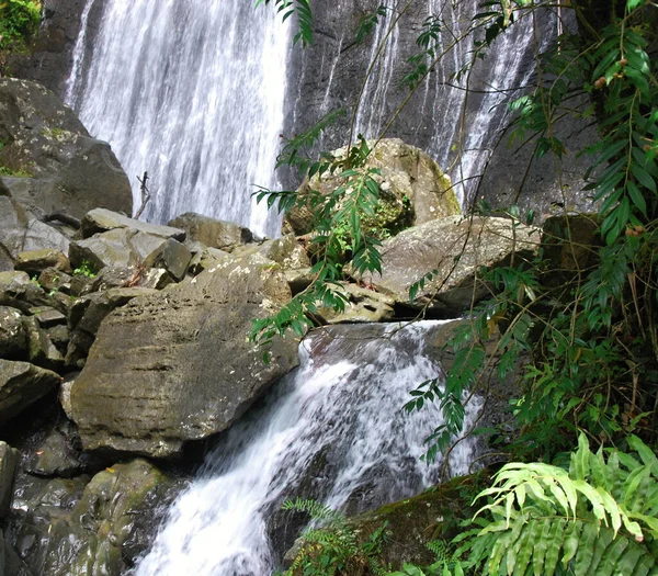 Водоспад Тропічному Лісі Ель Юнке Пуерто Рико — стокове фото