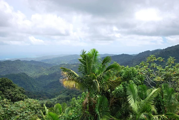 波多黎各岛El Yunque雨林全景 — 图库照片
