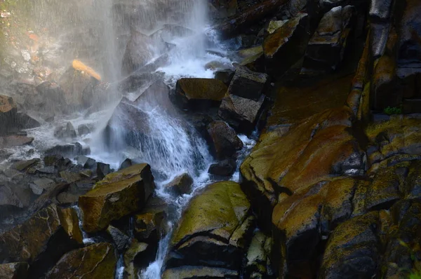 Waterfall Mount Rainier National Park Washington — Stockfoto