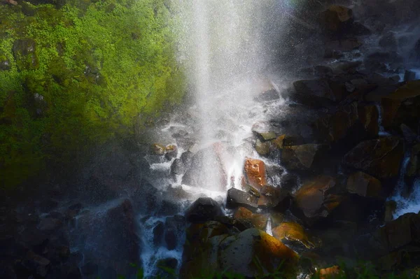 Waterfall Mount Rainier National Park Washington — Fotografia de Stock