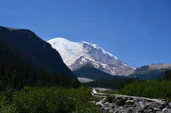 Panorama Mount Rainier National Park Washington — стокове фото