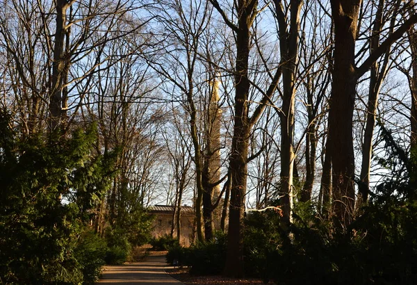 Memorial Church Park Big Tiergarten Берліні Столиці Німеччини — стокове фото