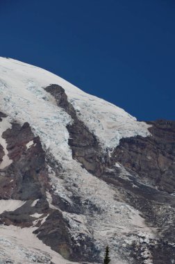 Panorama of Mount Rainier National Park, Washington