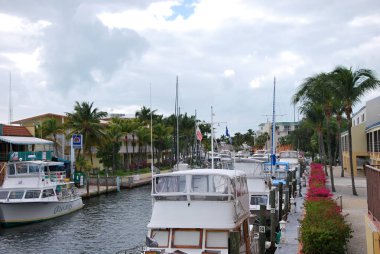 Florida Keys Key Largo 'daki Meksika Körfezi' ndeki Marina.