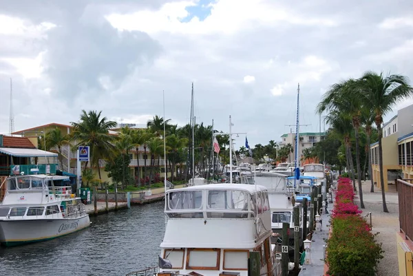 Marina Golfo México Key Largo Florida Keys — Fotografia de Stock