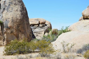 Joshua Tre Ulusal Parkı, Kaliforniya 'da Rock' lar
