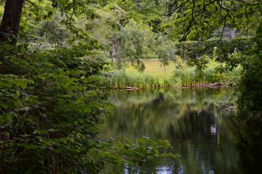Pond in the Park Big Tiergarten in Berlin, the Capital City of Germany