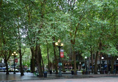 Seattle 'ın Eski Kasabası, Washington Meydanı