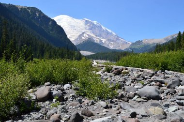 White River, Mount Rainier Ulusal Parkı, Washington