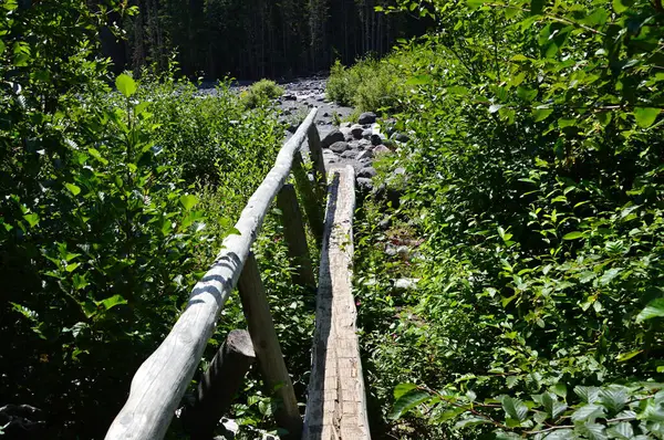 stock image Wooden Bridge over the White River in Mount Rainier National Park, Washington