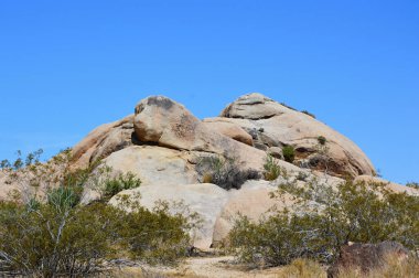 kayalar joshua tree national Park, Kaliforniya