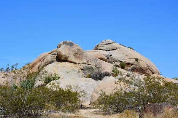 ジョシュア ツリー国立公園 カリフォルニアの岩 — ストック写真