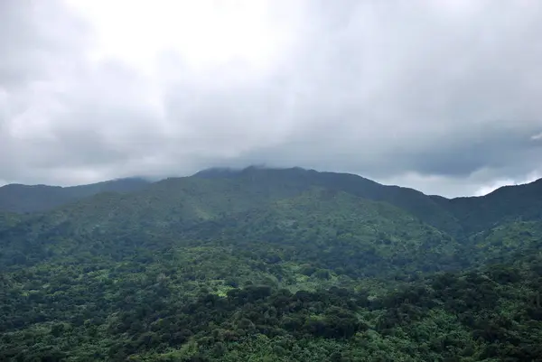 Пейзаж Панорамы Тропическом Лесу Эль Юнке Острове Пуэрто Рико — стоковое фото
