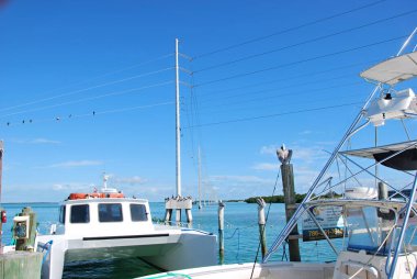 Florida Keys 'deki Denizaşırı Otoyolda Panorama
