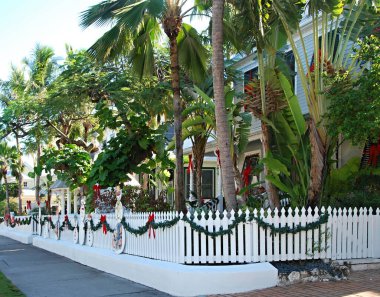 Florida Keys 'in Key West caddesinde sokak manzarası