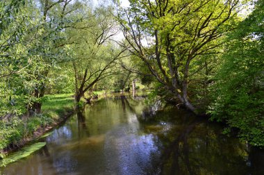 Baharda Boehme nehrinin manzarası Walsrode, Aşağı Saksonya