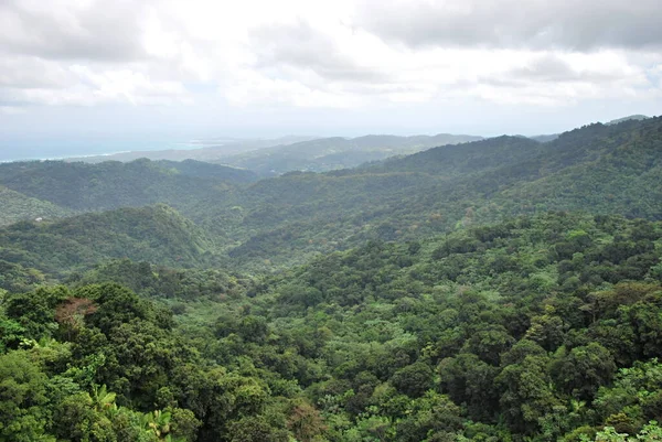 Porto Riko Adası Ndaki Yunque Yağmur Ormanlarındaki Panorama Peyzajı — Stok fotoğraf