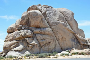 Joshua Tree Ulusal Parkı, Kaliforniya 'da Kayalar ve Bitkiler