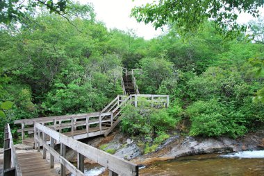 Blue Ridge Parkway, Kuzey Carolina 'da patika.