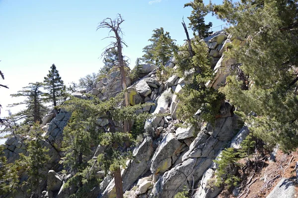 Landscape Mount San Jacinto California — Stock Photo, Image