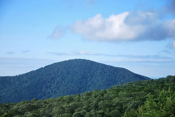 Panorama Paisagem Parque Nacional Shenandoah Virgínia — Fotografia de Stock