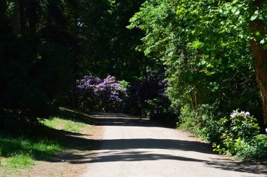 Tarihi Kale ve Park Woerlitz, Saksonya - Anhalt