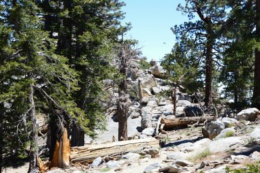 Kaliforniya, San Jacinto Dağı 'ndaki manzara