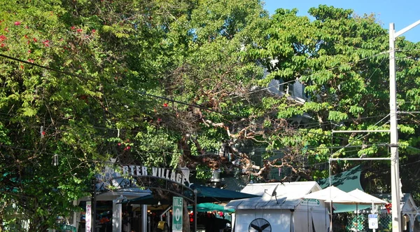 Street Scene Centrala Key West Florida Keys — Stockfoto
