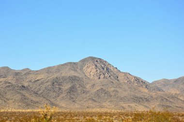 Joshua tree national park, Kaliforniya'da manzara