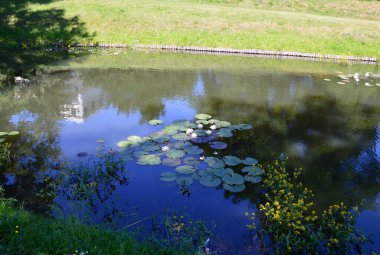 Tarihi Kale ve Park Woerlitz, Saksonya - Anhalt