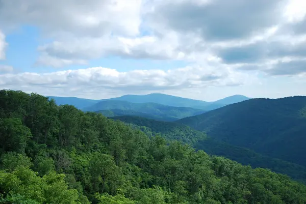 Shenandoah Ulusal Parkı, Virginia Panorama Peyzajı