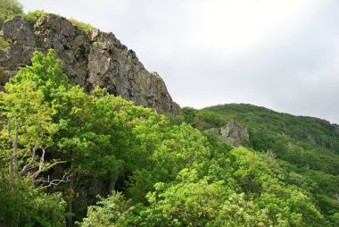 Shenandoah Ulusal Parkı, Virginia Panorama Peyzajı