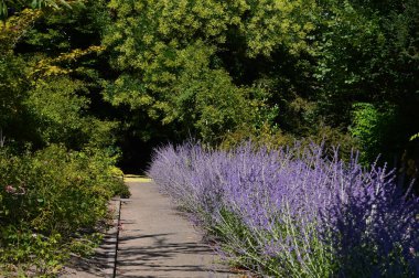 Berlin 'deki Kreuzberg Tepesi' ne park et. Almanya 'nın başkenti.