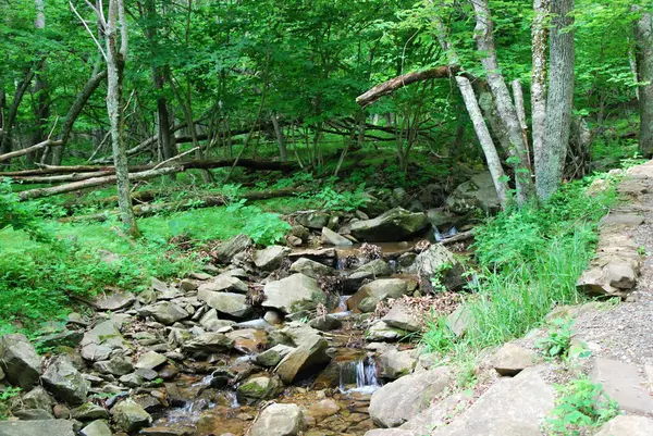 Shenenandoah Ulusal Parkı, Virginia Şelalesi