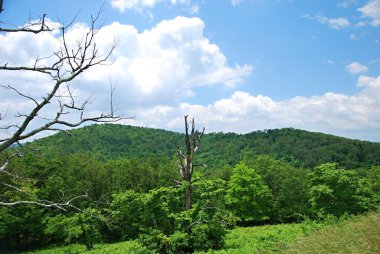 Shenandoah Ulusal Parkı, Virginia Panorama Peyzajı