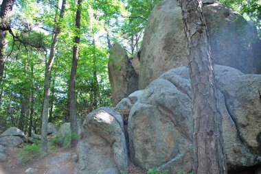 Shenendoah Ulusal Parkı, Virginia