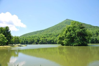 River in Shenandoah Ulusal Parkı, Virginia