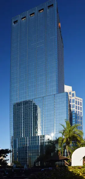 Modern Buildings in Downtown Tampa, Florida