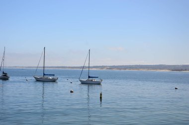 Monterey, California 'da Pasifik' te Marina.